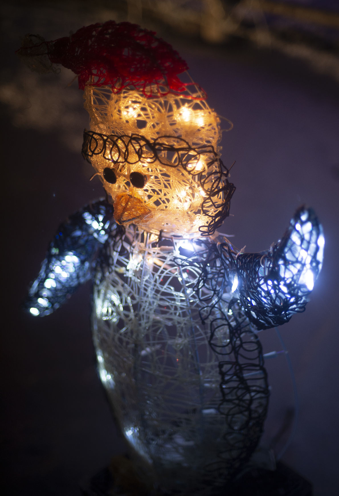 Holiday light displays
